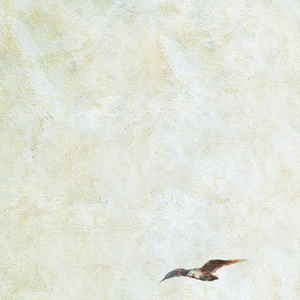 大学生日村姑与村姑的背景故事
