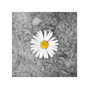 大学生日村姑与村姑的背景故事
